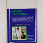 Linnasarja 14/1974 : Ratsastamme aamunkoittoon, Maria! - pikkukuva 2