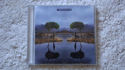 Bruce Dickinson: Skunkworks, CD