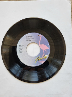 Hector – Ota Yhteyttä Apinaan / Pianomies (7" single)