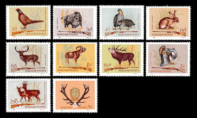 Unkari 2079-88 ** Metsästys (1964)