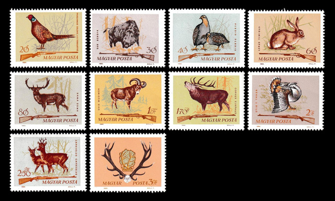 Unkari 2079-88 ** Metsästys (1964)