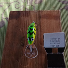 Salmo Hornet Floating H3F 3,5cm GT - pikkukuva 3