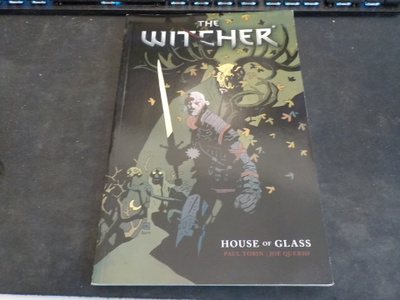 Witcher House of glass