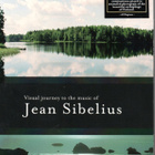 Visual journey to the music of Jean Sibelius - DVD - pikkukuva 1