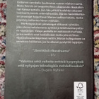 Anna Jansson - Synnin vartijat Myydään - pikkukuva 2