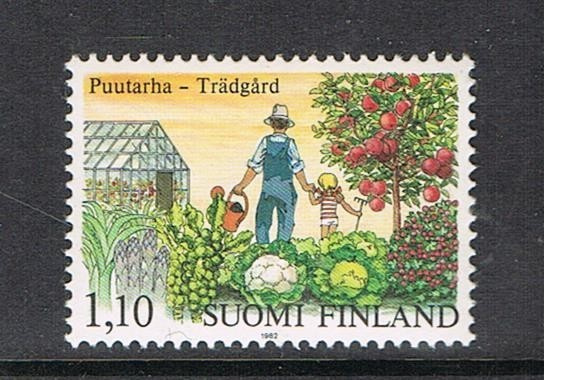 1982  Puutarha  ++