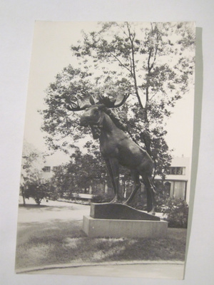 VANHA Postikortin Alkup.Mallikappale Viipuri 1920-l