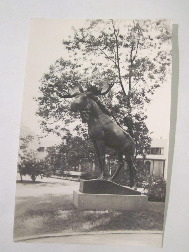 VANHA Postikortin Alkup.Mallikappale Viipuri 1920-l