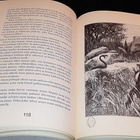 Robert Louis Stevenson : Aarresaari - pikkukuva 2