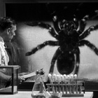 Tarantula! (1955) DVD Jack Arnold Clint Eastwood SuomiTXT - pikkukuva 3