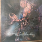 Bruce Dickinson. Promo flat. Signeeraus! - pikkukuva 2
