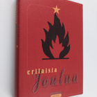 Martti ym. (toim.) Anhava : Erilaista joulua : kertomuksi... - pikkukuva 1