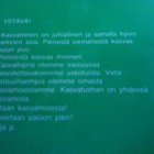 Maija Paavilainen : Kasvamista - pikkukuva 2