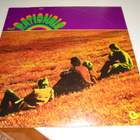 The Rationals - The Rationals  (Usa orig) - pikkukuva 1