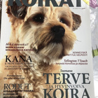 Koirat lehtiä 4kpl v. 2012 - pikkukuva 3