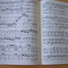 Mozart, SONATE und FUGE, kahdelle pianolle - pikkukuva 3