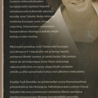 Tuuli Rannikko, Vauhtisokeat - pikkukuva 2