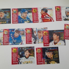 NHL keräilykortteja Pinnacle Brands 1994-1995  11kpl - pikkukuva 2