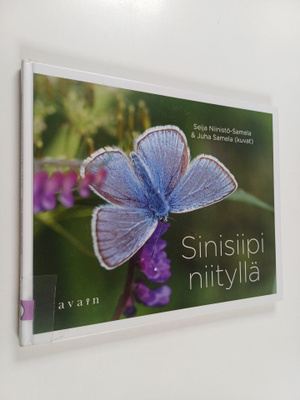 Seija Niinistö-Samela : Sinisiipi niityllä