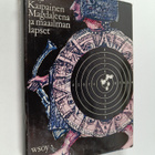 Anu Kaipainen : Magdaleena ja maailman lapset - pikkukuva 1