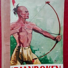 Den röda stormen (Indianboken 1933) - pikkukuva 2