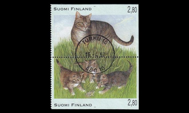 1306-9p o Kissoja pari loist0 (1995)