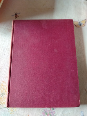 jokioinen 1631-1931