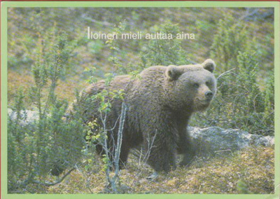 Suomen Luonnonsuojeluliitto Karhu