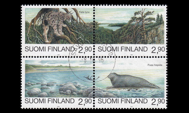 1286-9n o Uhanalaisia eläimiä neliö Savonlinna 8.10.96 (1