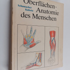 Anatomischer Anzeiger - pikkukuva 1
