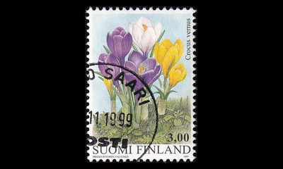 1469 o Krookus (1999)