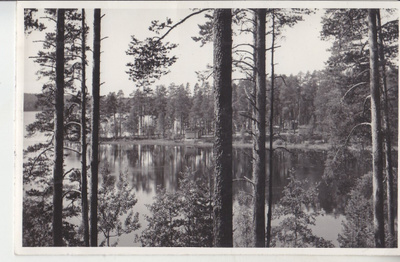 Punkaharju kortti (3)