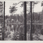 Punkaharju kortti (3) - pikkukuva 1