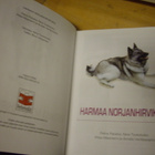 HARMAA NORJANHIRVIKOIRA ( Sis.postikulut ) - pikkukuva 2