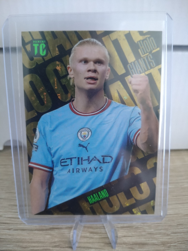 Erling Haaland Holo Giants