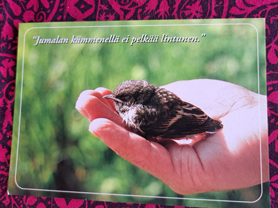 pikkulintu, Jumalan kämmenellä...kulkenut 2001