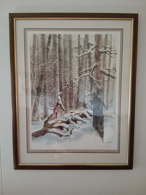 Kimmo Pälikkö, aarnimetsää