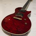 Epiphone Les Paul Prophecy Custom GX - pikkukuva 1
