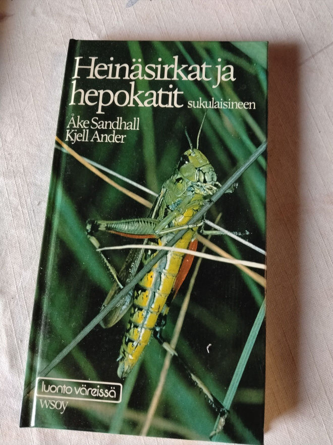 heinäsirkat ja hepokatit