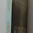 Toni Morrison - A Mercy - pikkukuva 2