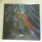 FRIENDLY FIRES - PALA M-/EX+ UK 2011 2LP - pikkukuva 2
