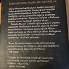 Anna Jansson Hopealantti - pikkukuva 4