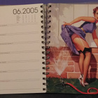 Pin-Ups 2005 Taschen Calendar & Diary - pikkukuva 2