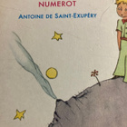 PIKKU PRINSSIN NUMEROT - pikkukuva 1