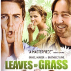 dvd, Leaves of Grass [komedia, jännitys] - pikkukuva 1