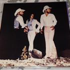 ZZ Top - Tejas LP US Warner 1979 - pikkukuva 5