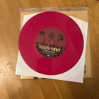 Sleater/ Kinney entertain  7” - pikkukuva 3