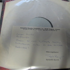 DAVE LINDHOLM - SILLALLA LP HARVINAINEN KOELEVY 1990 - pikkukuva 2