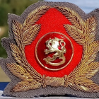 SA - Upseeri kokardi. Mansikka leijonalla. Laatta piikit. Hy - pikkukuva 1
