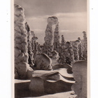 VANHA Valokuva Postikortti Lappi Rovaniemi n. 1940-luku - pikkukuva 1